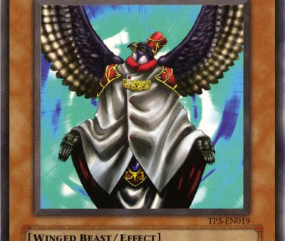 Winged Sage Falcos [TP5-EN019] Common on Sale