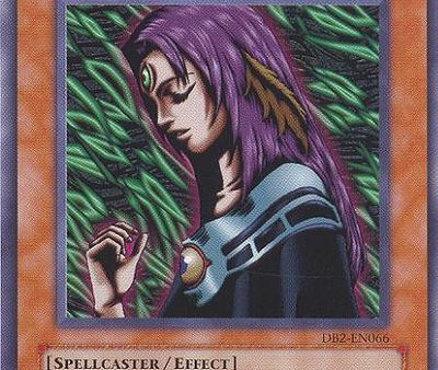 Witch of the Black Forest [DB2-EN066] Rare Supply